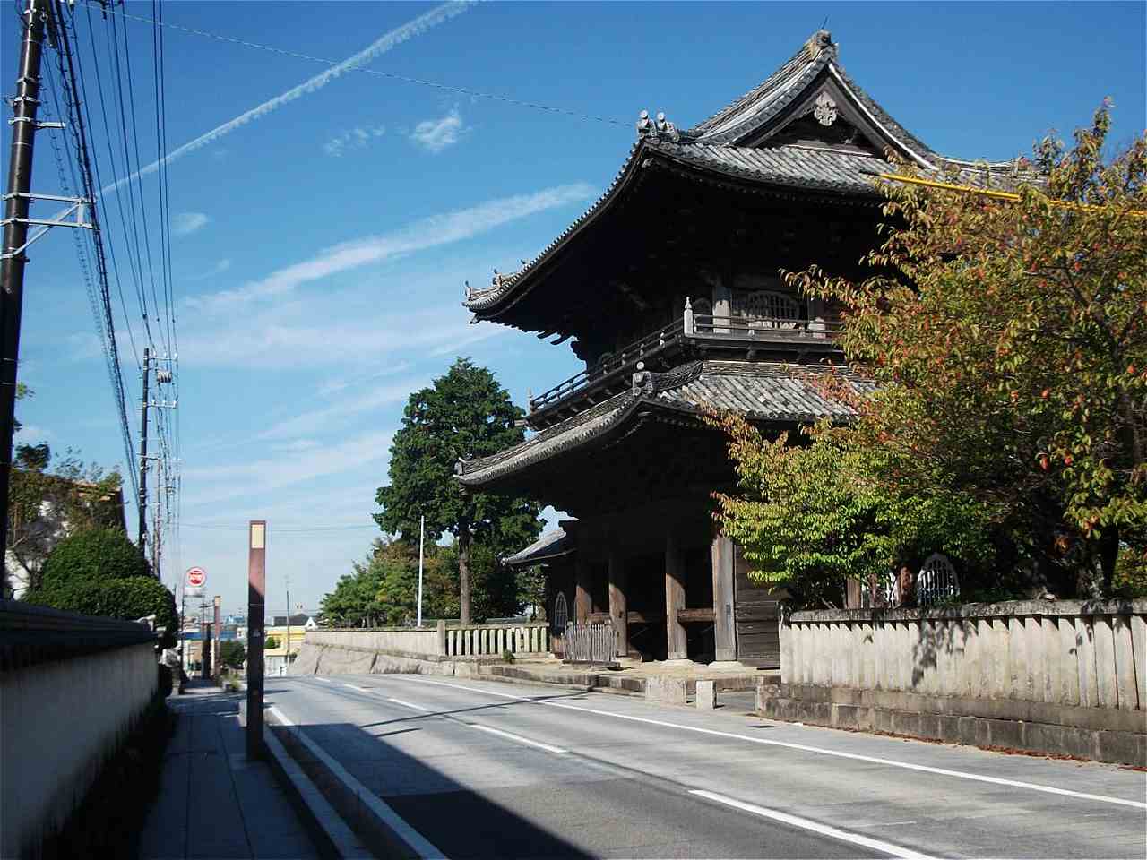 大樹寺