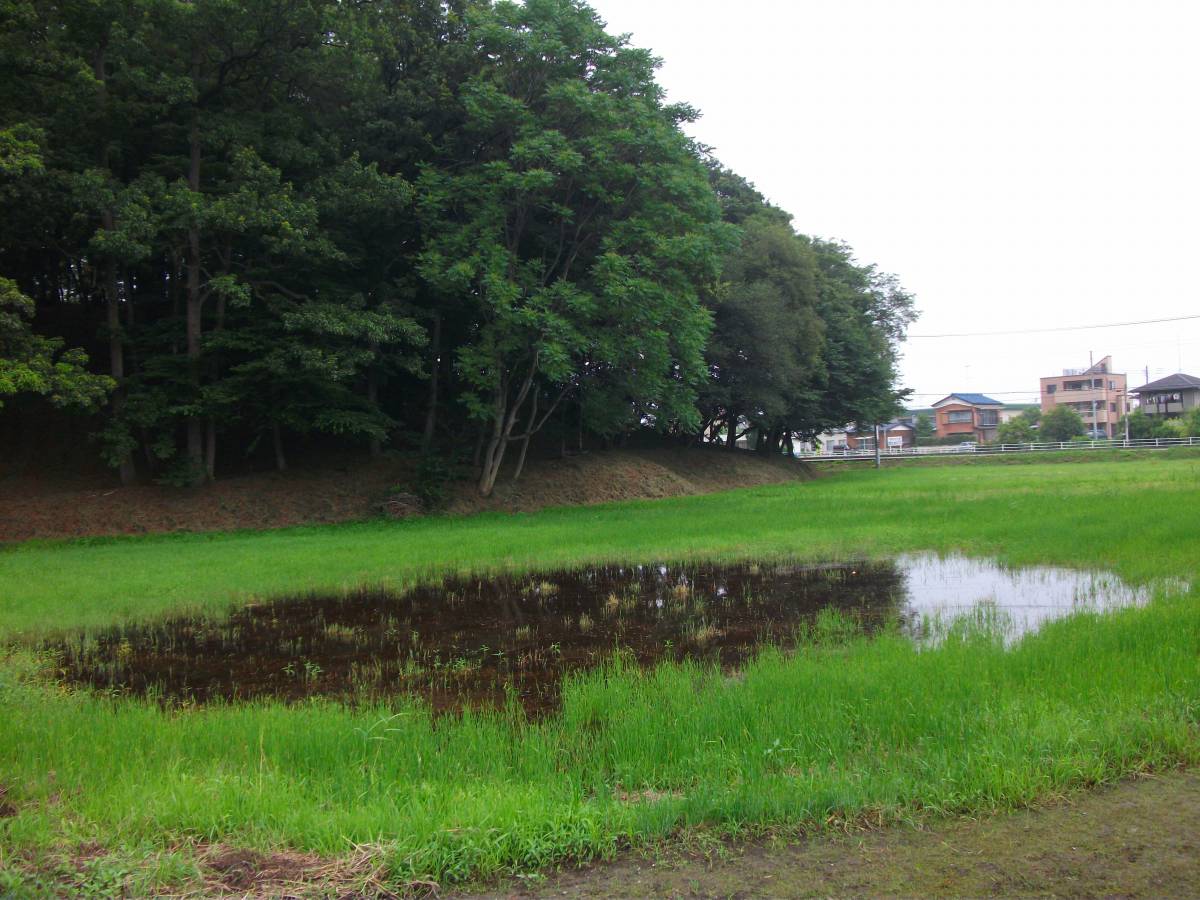 太田天神山古墳