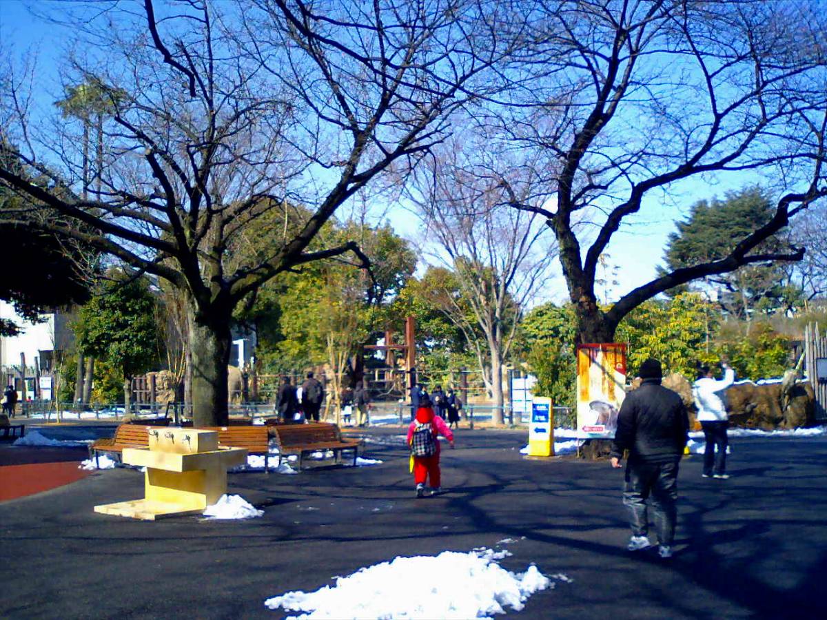 上野動物公園